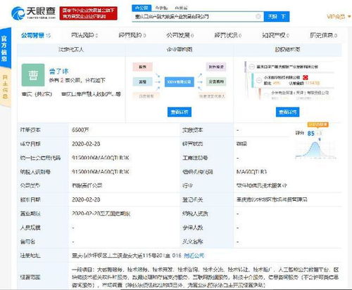 小米落子重慶，成立產融大數據公司，布局區(qū)塊鏈與數據處理服務